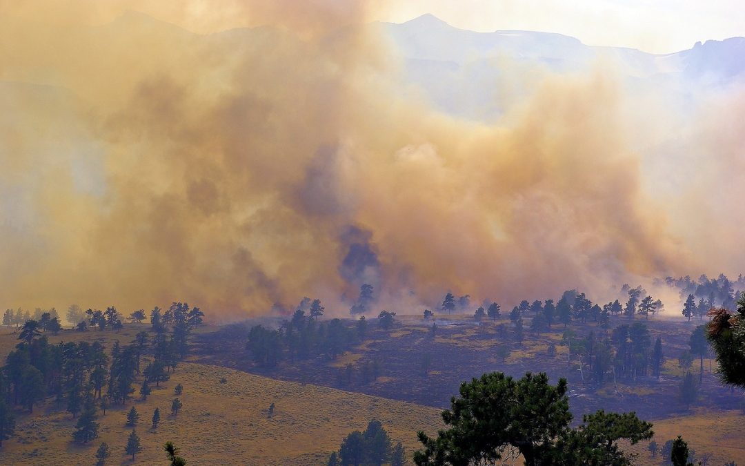 Dinas Damkar Cimahi Padamkan Kebakaran di Jembatan